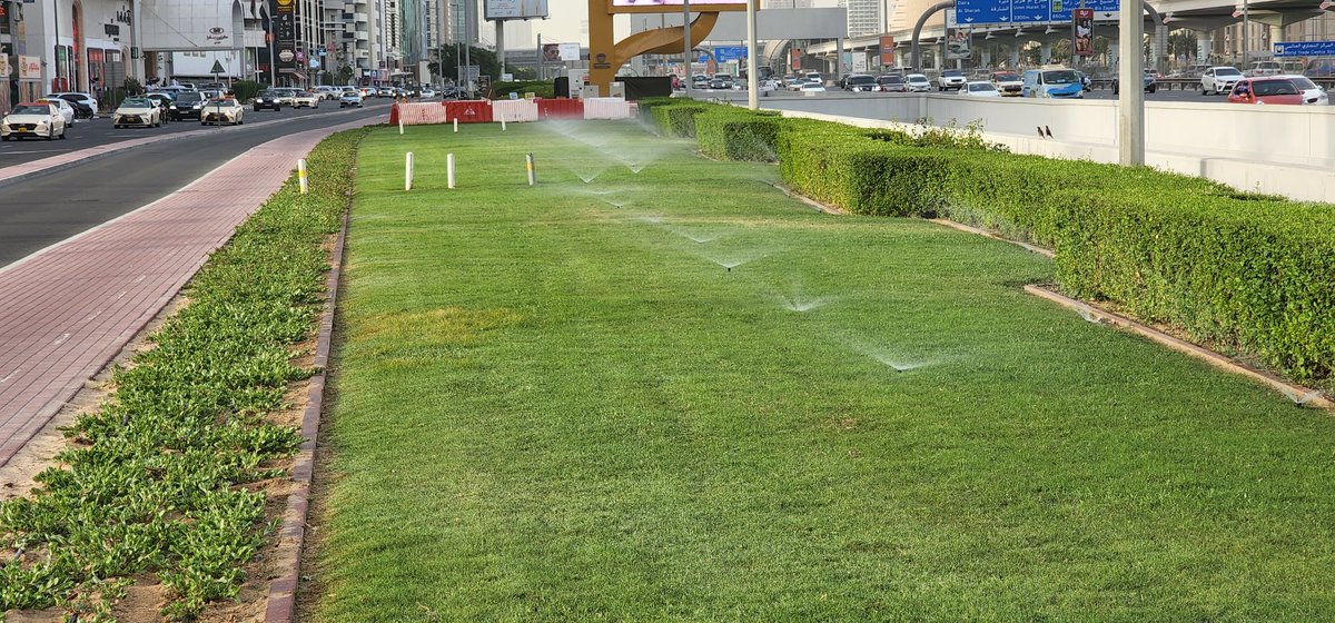 TafNjie's tweet photo. Lessons from #Dubai for #African countries: Dubai is in the desert but the authorities are doing everything possible to make the place look green by planting trees. Other African countries even in the rain forest are not doing the same...WHY, WHY, WHY???
#EnvironmentalProtection https://t.co/staLHewdjJ