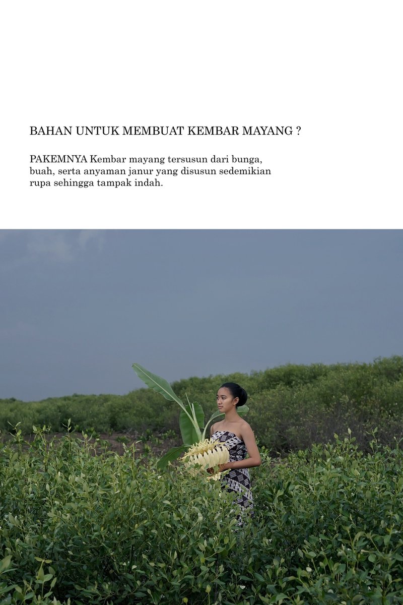 APhotogarphy's tweet photo. Kembar mayang

#aryjobs #preweddingphotography #conceptualphotography #culture #budayaindonesia #ragamindonesia #pesonaindonesia #indonesiakaya #adatjawa #kembarmayang #indonesiaphotography #tradisi #couple #artphotography #g20 #indonesiamaju #prewedding #preweddingjawa https://t.co/xONANKagLX