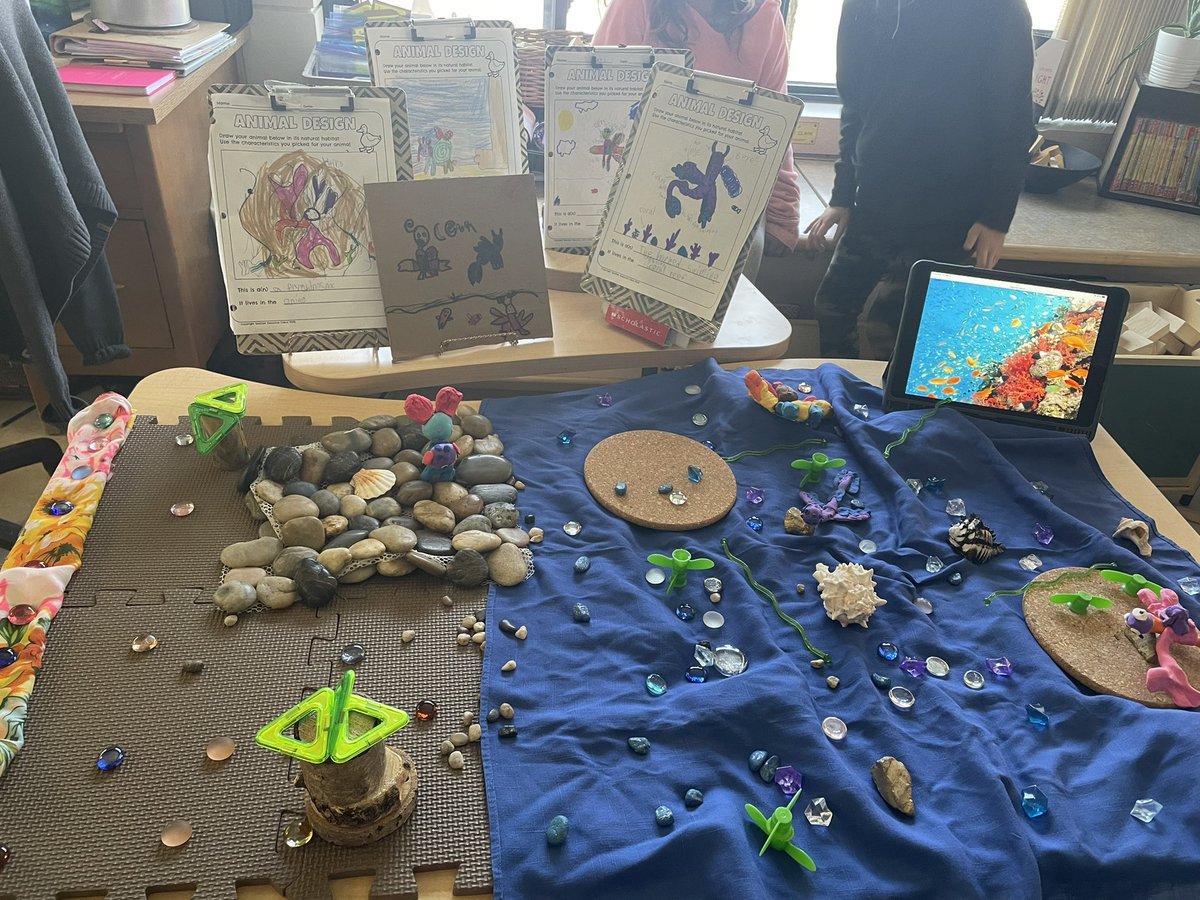 OurDiscoveries's tweet photo. Creating our mixed up animal habitats! Each loose part has a purpose.❤️ https://t.co/JrzuydHbyG