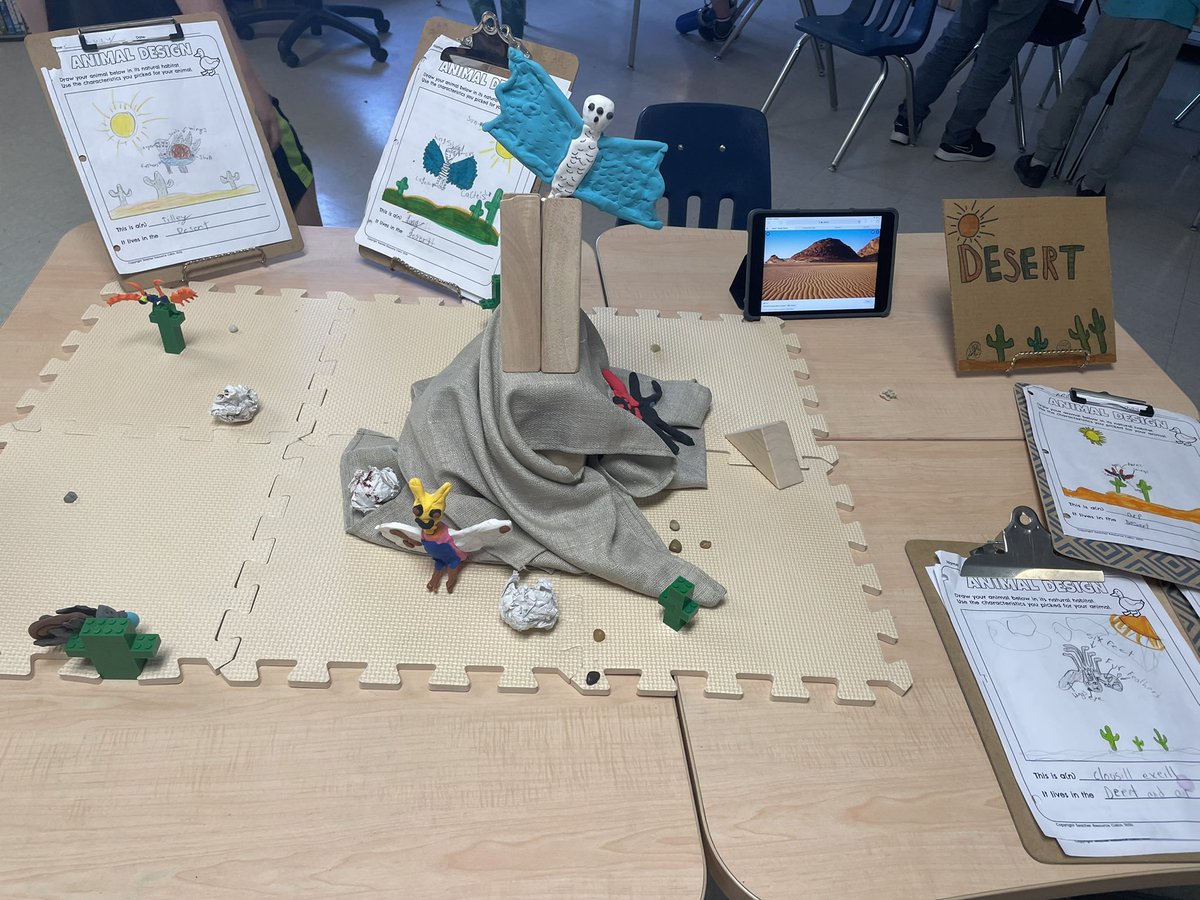 OurDiscoveries's tweet photo. Creating our mixed up animal habitats! Each loose part has a purpose.❤️ https://t.co/JrzuydHbyG