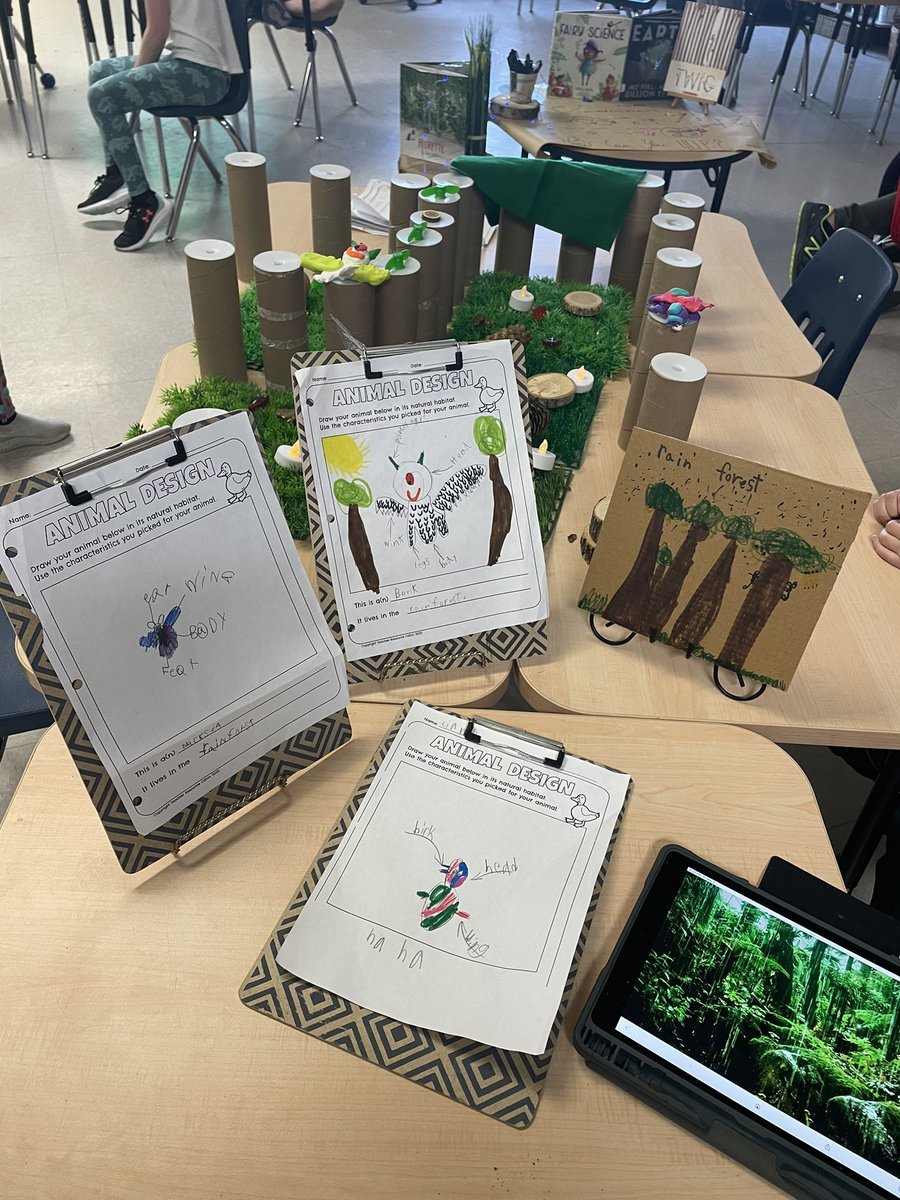 OurDiscoveries's tweet photo. Creating our mixed up animal habitats! Each loose part has a purpose.❤️ https://t.co/JrzuydHbyG