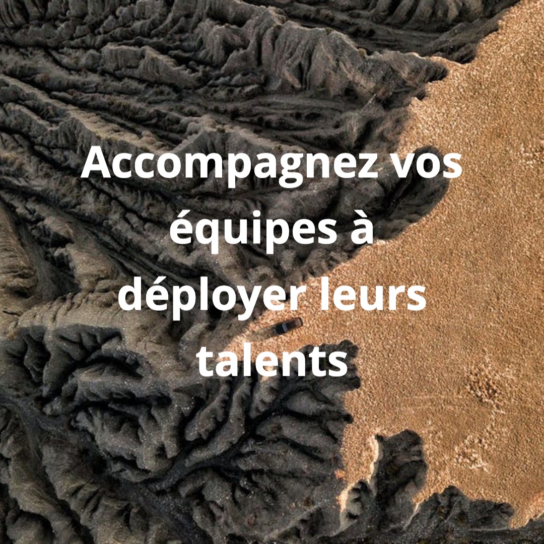 in_imago's tweet photo. Construisons ensemble vos parcours de Trans'Formations au service d'une équipe motivée . Contactez-nous : 
https://t.co/0OYgYjmLMK
#formations #entreprise #motivation #engagement #management https://t.co/fhPzOeOhEo