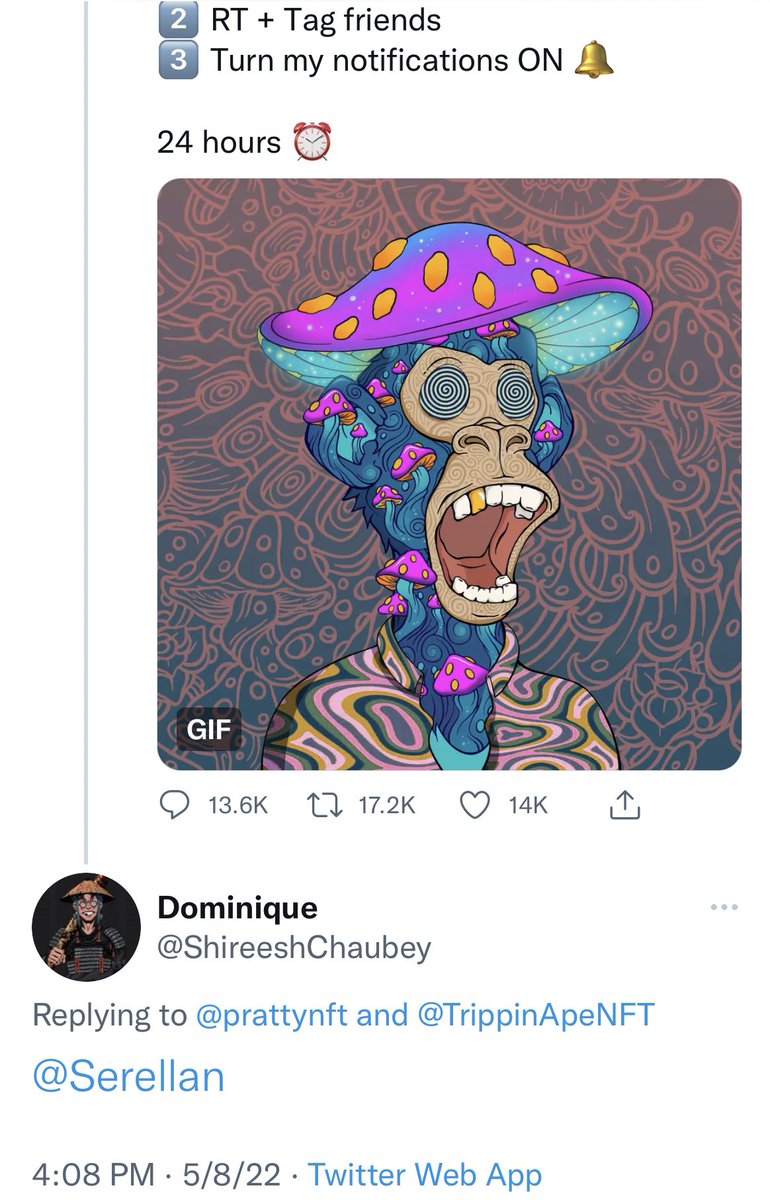 Christian Allen tweet media