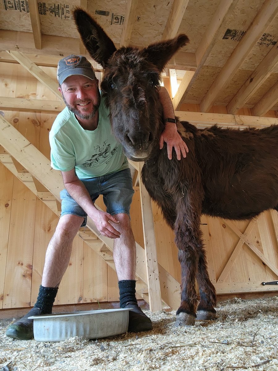 Broome Animal Sanctuary tweet media