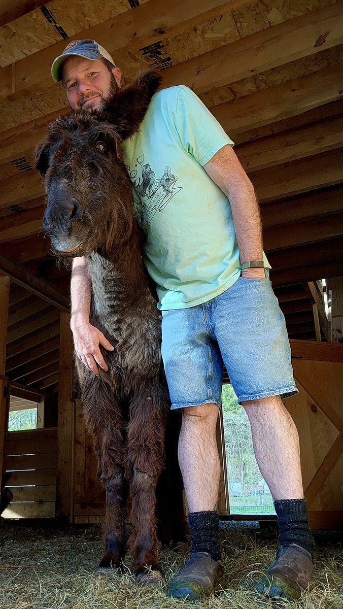 Broome Animal Sanctuary tweet media