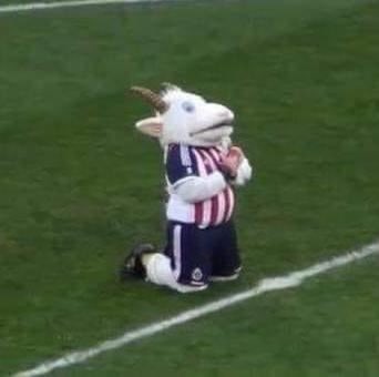inlakech09's tweet photo. #GanarOMorir vamos @Chivas saludos Osvaldo Sanchez https://t.co/MGLef2BkY9