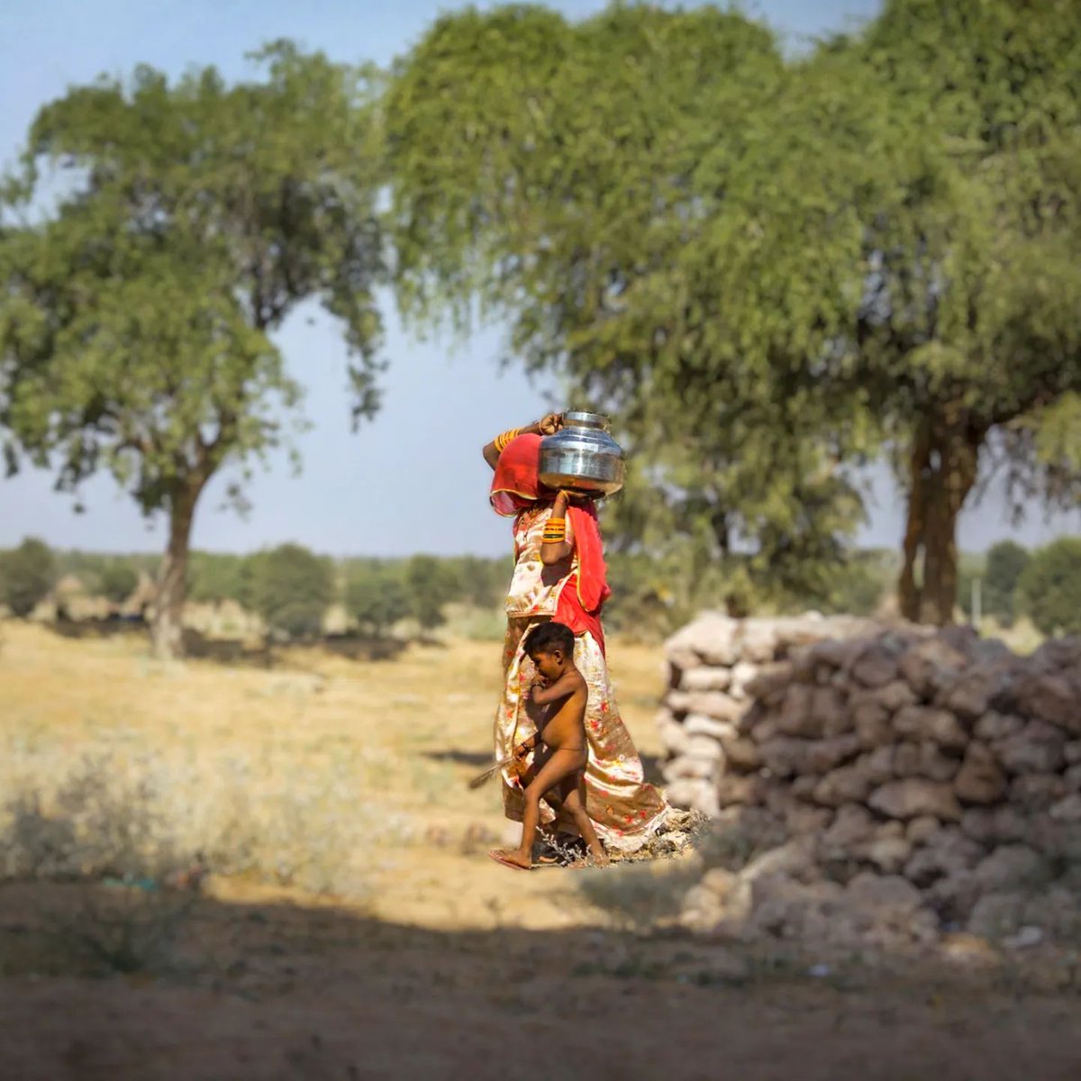 Trickytravell's tweet photo. A mother’s love for her child is like nothing else in the world. It knows no law, no pity, it dates all things and crushes down remorselessly all that stands in its path.
#TrickyTravellers #ruralrajsthan #mothersday #mothernature #harshlife #ruralindia #mothersofindia https://t.co/w3ncN2atYQ