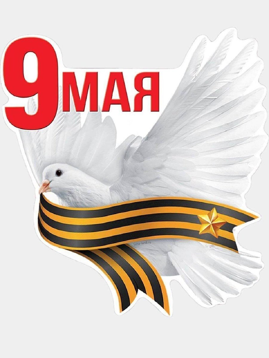 LarisaBelyh's tweet photo. С праздником, друзья! С Днём победы! https://t.co/VrxOww6qxg