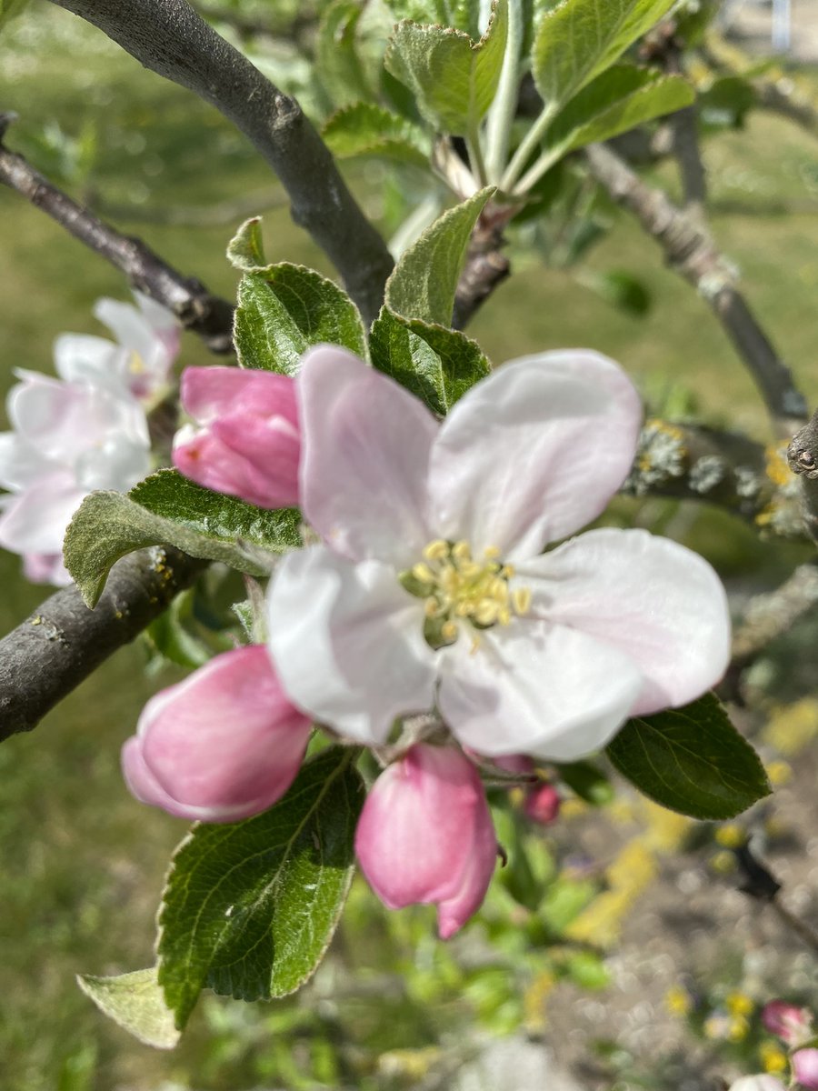T͙I͙N͙A͙🦜🌹👟🍷🌈💜 tweet media