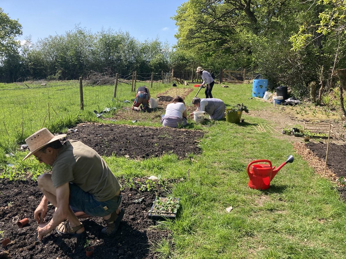 LleTyfu's tweet photo. #teamwork #westwales #growyourown #sundayvibes #fruit #veg #spring #sunscreen @bigallotment @Cymruwrthgalon @GYOVOfficial @Fruits_Veggies . Great weather to plant out , weed , water and spend time together 😎🌱🌻🍅🍆🥦🌽🍒🥔 https://t.co/CZ4XzchcSU