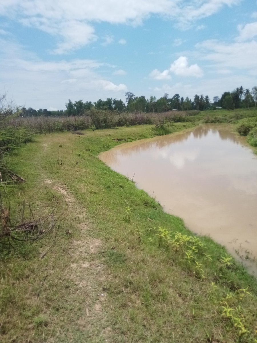 มึงว่ากูจะเจอแม่มั้ย....