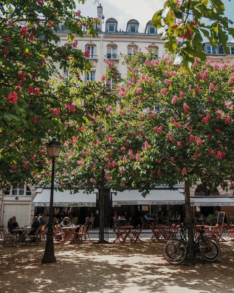 ParisArtDeVivre's tweet photo. Could this get any more romantic? 💗🌸🌳☕️🥐
#Paris, blooming trees, cafés...
📸: @lesjoliesrues via @hipparisblog
#parislove #lesfleurs #weekendinparis #printemps #primavera #printempsaparis #myparis #hipparis #parisinthespring #Parisjetaime https://t.co/i3C7XlO9zw