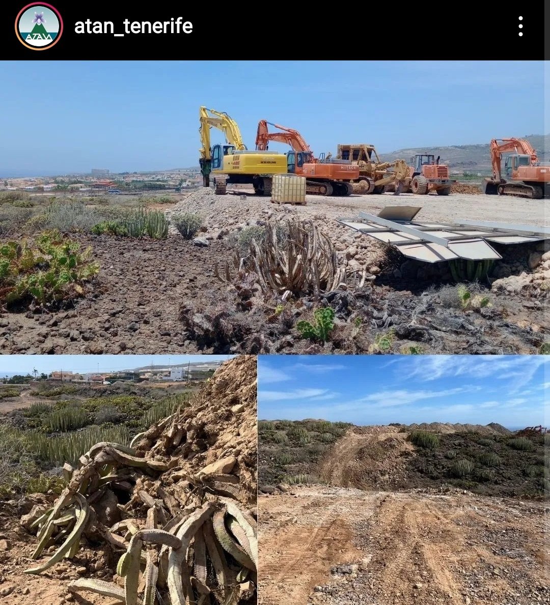 tenerife_meteo's tweet photo. Así es como en Canarias se respeta el Medio Natural y los espacios protegidos. Otro proyecto de apartamentos de lujo y una playa privada. Me quedo anonadado. https://t.co/MOhUWaVfzd