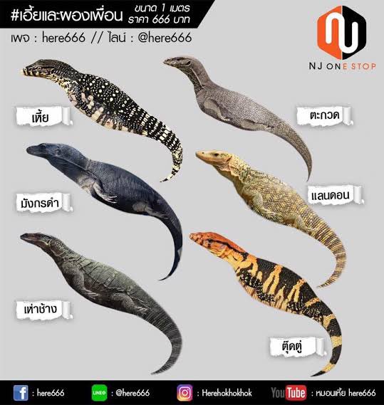 แล้วเธอจะให้ผมเป็นเหี้ยอะไร