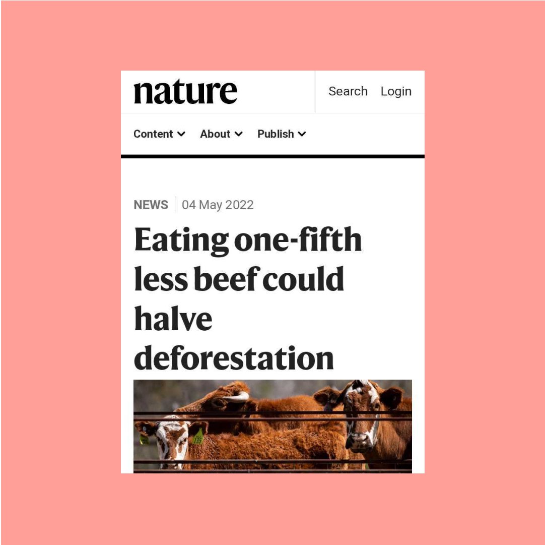 'Replacing just 20% of global beef consumption with a meat substitute within the next 30 years could halve deforestation and the carbon emissions associated with it, finds a modelling study.' go.nature.com/3wdJTE9 #deforestation #meatconsumption #emissionsreductions