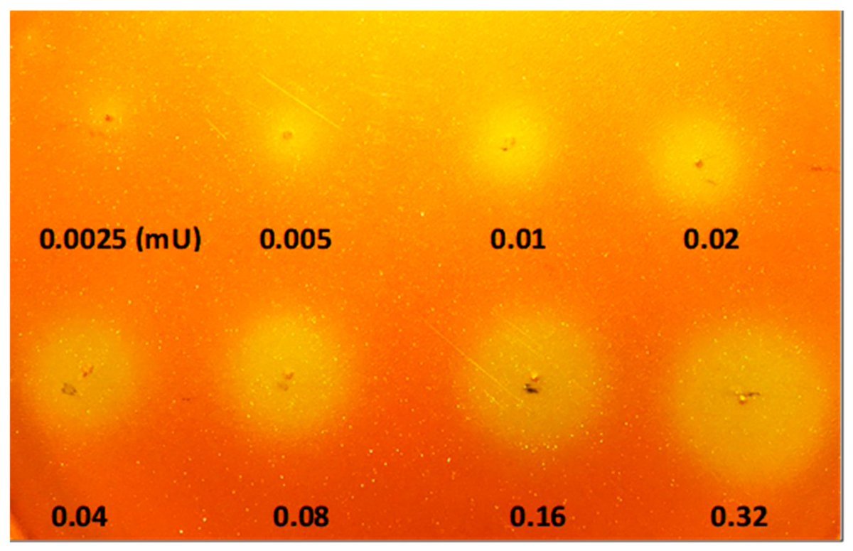 Molecules_MDPI's tweet photo. #RecommendedPaper #HighlyAccessedPaper
Zymography for Picogram Detection of Lipase and Esterase Activities
By Giang Kien Truc Nguyen, et al.
👉https://t.co/aKG8HV0Wuz
#esterase
#lipase
#picogram
#zymogram https://t.co/JuubKLrfxq