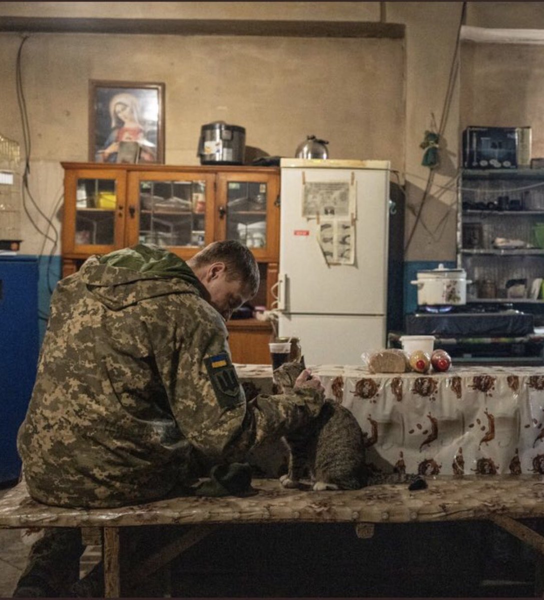 UAarmy_animals's tweet photo. Time for breakfast. https://t.co/tjZWythoGs