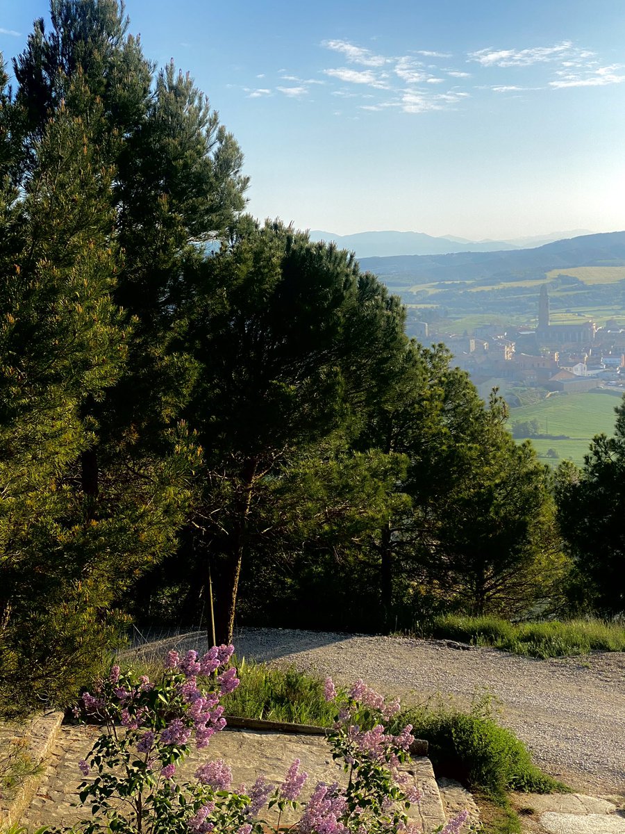 elsa_sere's tweet photo. Bon dia, cames ajudeu-me!🏃‍♀️ #reiniciemrutines #runningmatutining https://t.co/PrfPaGcheV