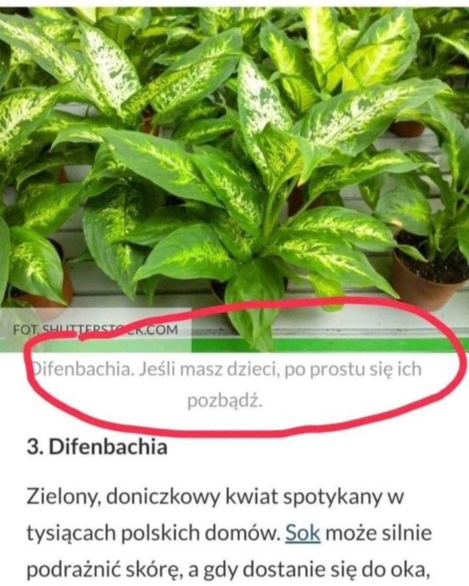 niezabudkaa's tweet photo. Krótka piłka https://t.co/UQm6m1zmtZ