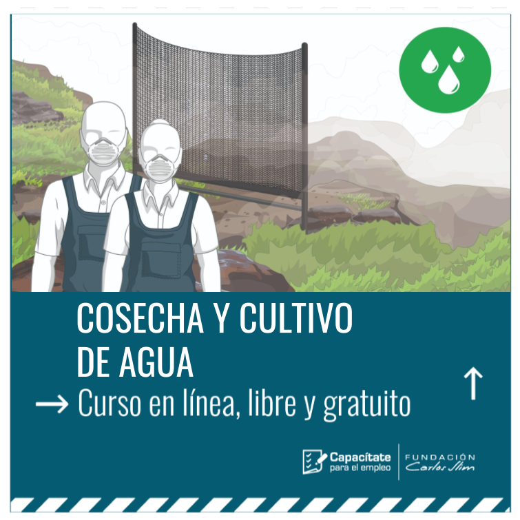 ACCIMMYT's tweet photo. #CapacítateParaElEmpleo | 💧 El agua es muy valiosa para la agricultura, pero su disponibilidad cada día es menor. Aprende cómo cosechar y cultivar este recurso.
 
Participa en este curso en línea. ¡Es libre y gratuito!  ➡  https://t.co/QGzxg1G19l https://t.co/nfcWgHBeSI