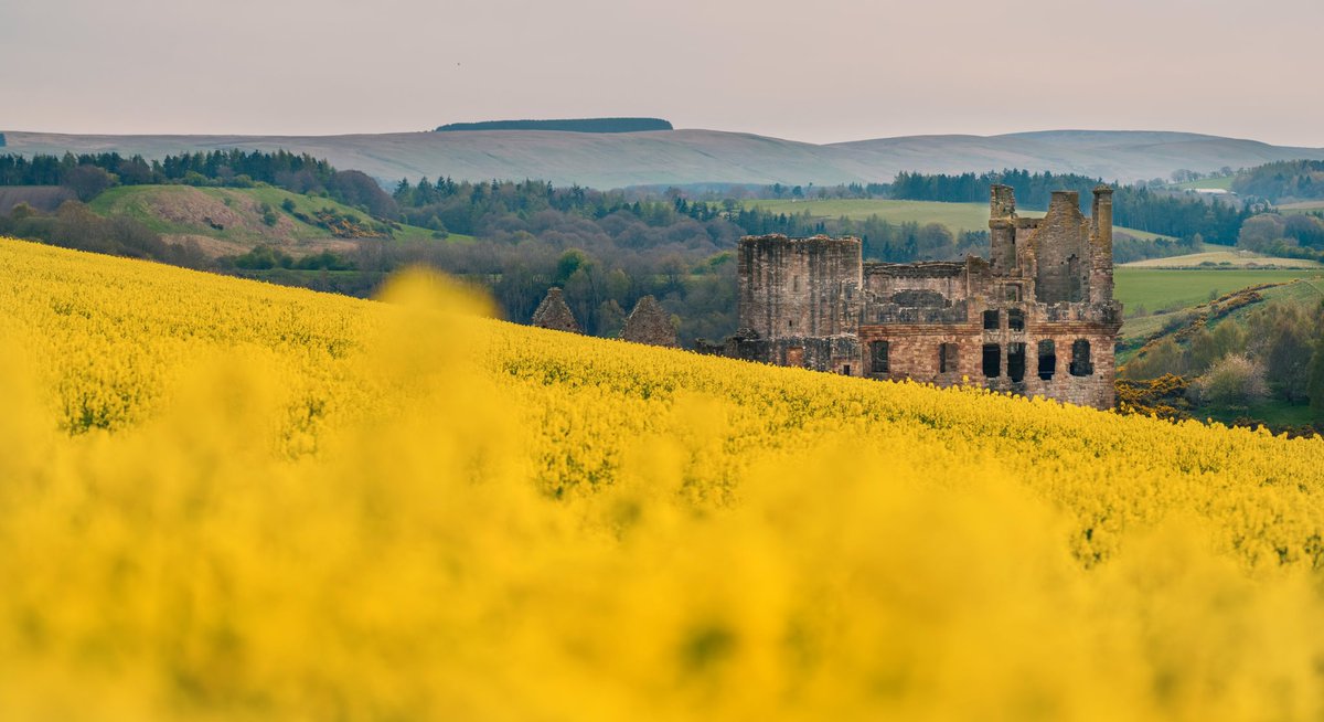 Jnsvms's tweet photo. Beautiful place to visit📸📸
#historicscotland #midlothian #scottishcastle #spring #springvibes #sony #sonya7riii https://t.co/8MxMvayn3C