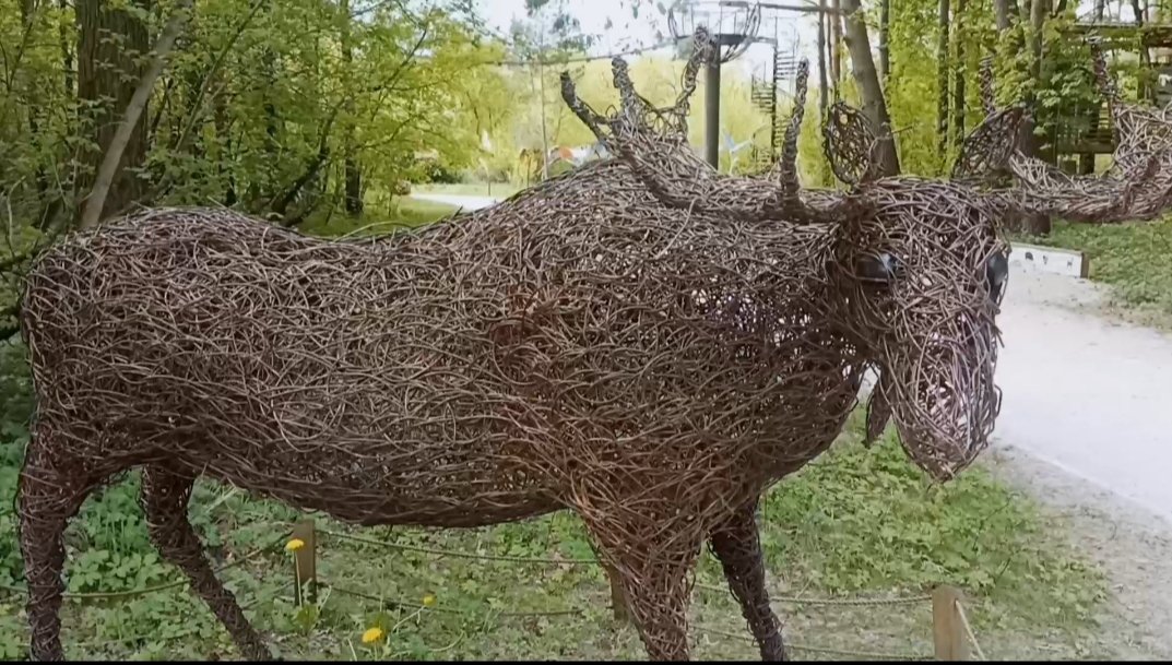 Nebula2AI's tweet photo. Moose
#Ai #DeepLearning #InitImage #Moose https://t.co/Yv5CPZ7BOk
