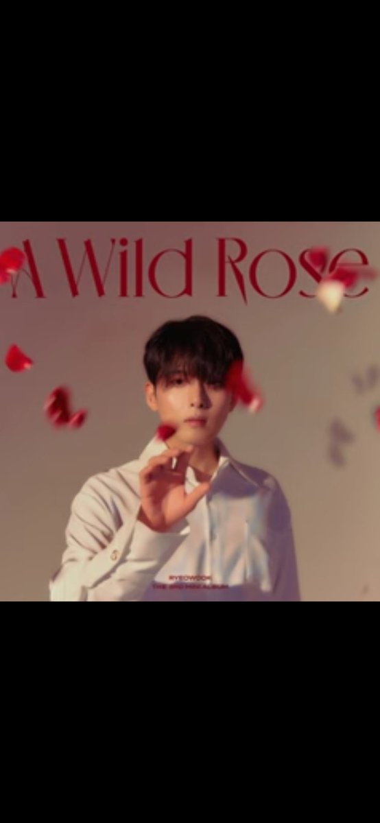 SihaeReal's tweet photo. 'To me' is a beautiful song 💙
Am I the only one who think 'To me' by Ryeowook would be a wonderful OST, it has this vibe, this feel... A gem, just like all this mini-album..
#SUPERJUNIOR #A_Wild_Rose
#RYEOWOOK #To_Me #ToMe
#AWildRose #NoSkipAlbum https://t.co/WSPBLlVRJH