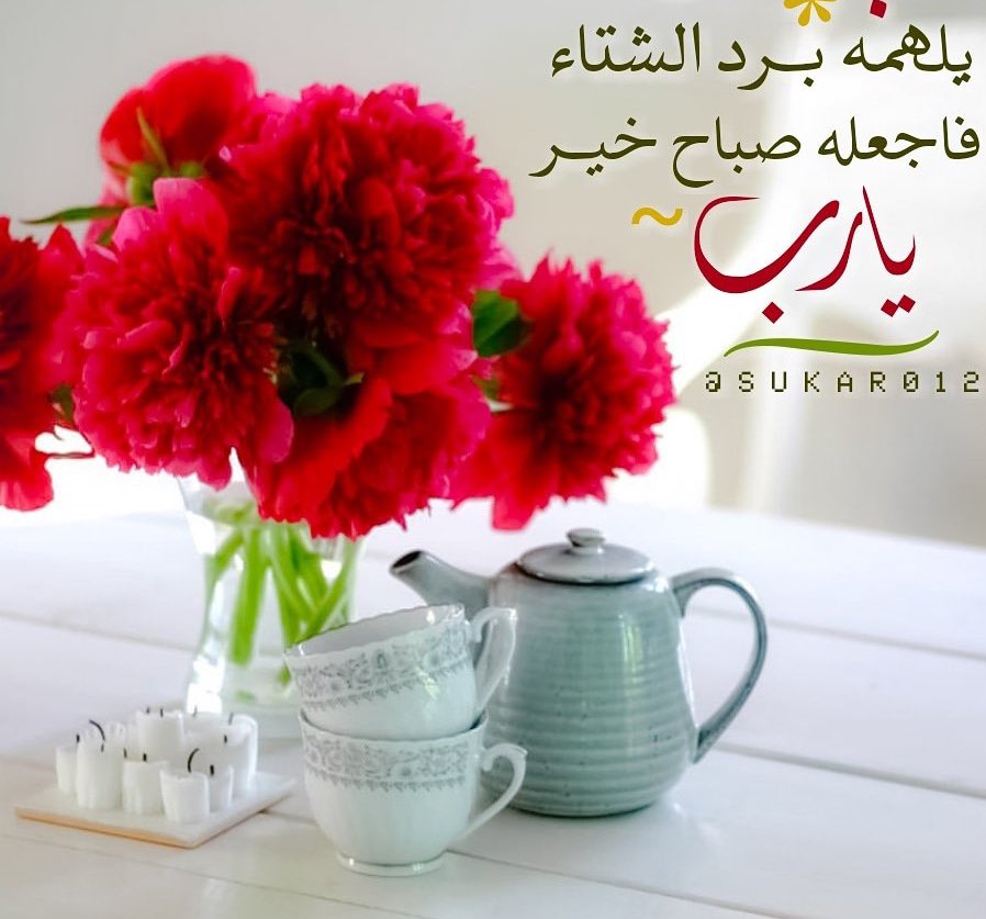 rrjjil2's tweet photo. ﷽🔺🔺

اللّهمّ عافني في〽️بدني، اللّهمّ عافني〽️ في سمعي، اللّهمّ〽️عافني في بصري،〽️
لا إله إلاّ أنت. 💠
أستغفرك ربي💠 
واتوب إليك 💠
♥️🌹♥️🌹♥️🌹
@rrjjil2   @rrjjil https://t.co/qAk9zUmymE