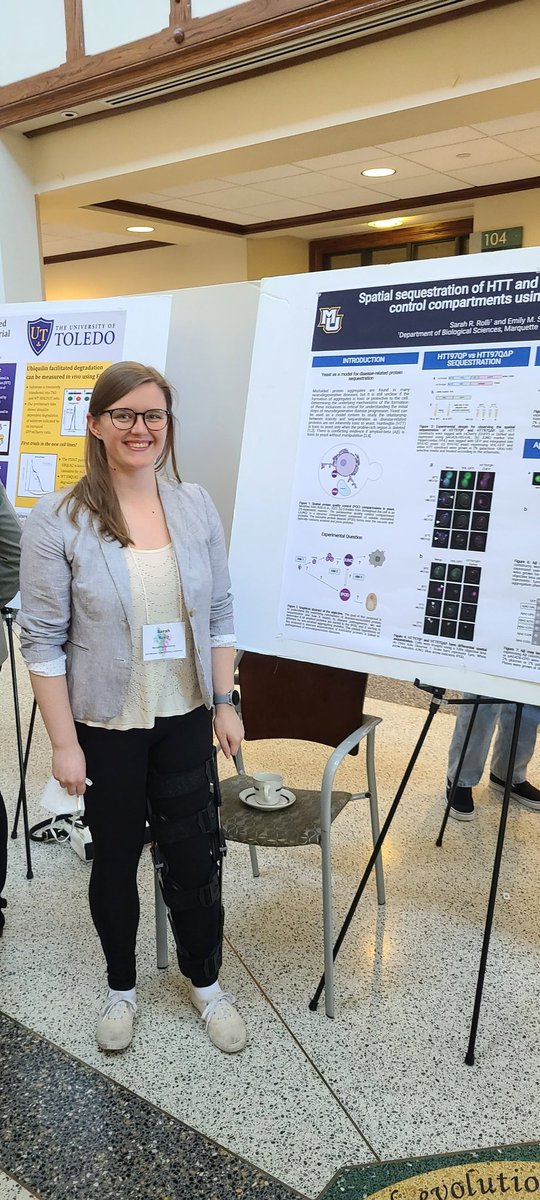 First in person conference as a lab! #MWfolding <a href="/srrolli/">Sarah Rolli</a> <a href="/KatiJYoung/">KatiYoung</a>
