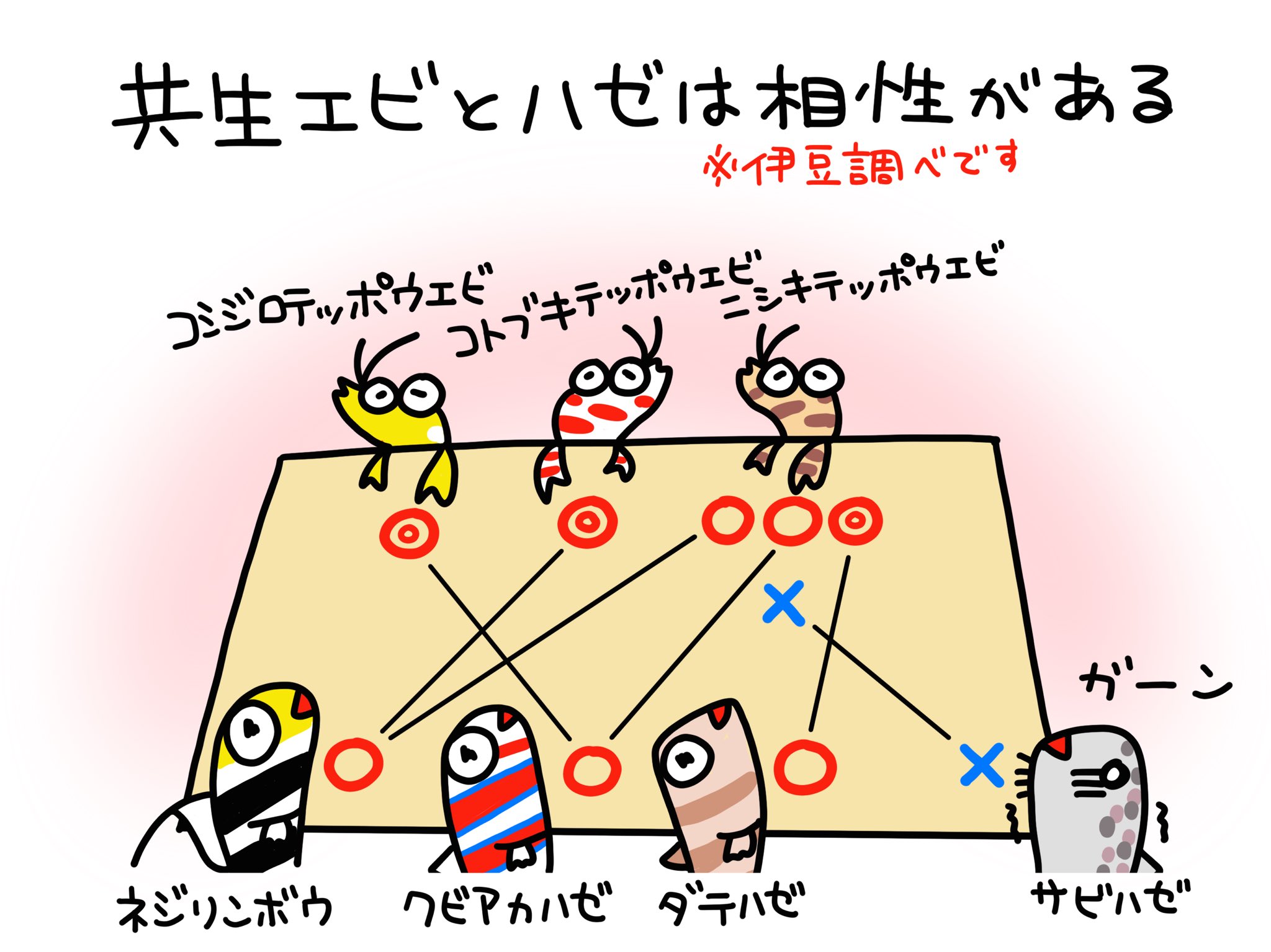 ふくちゃん 魚のイラスト 地域によって生息しているテッポウエビの種類に違いはありますが ハゼ とテッポウエビの相性を覚えておくと好きなハゼの発見につながるかも 魚のイラスト イラスト 海の生き物 ハゼ テッポウエビ ダイビング T Co