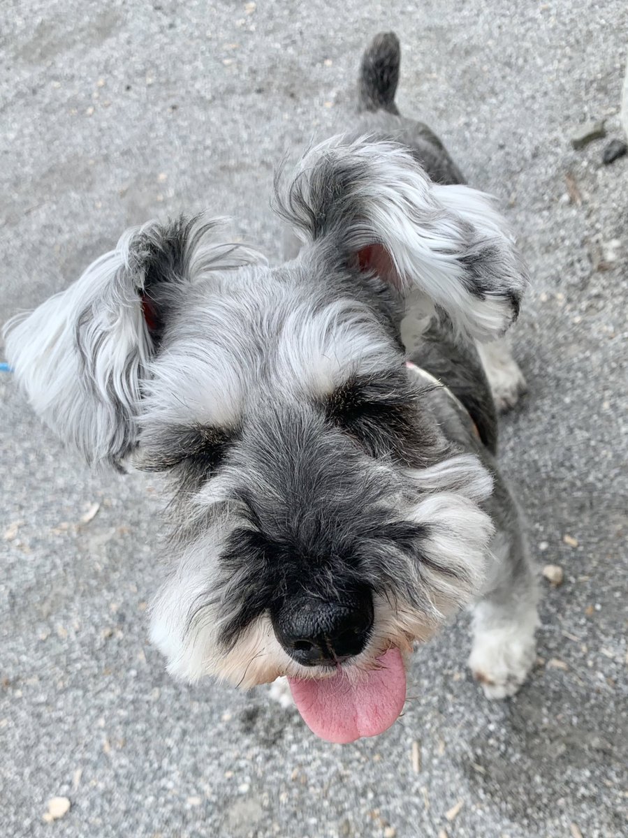 今日が土日と勘違いして、開店前に到着しそうという謎ボケをかますママと、それに付き合わされる可哀想な純ちゃん。
ごめんよお🙇‍♂️