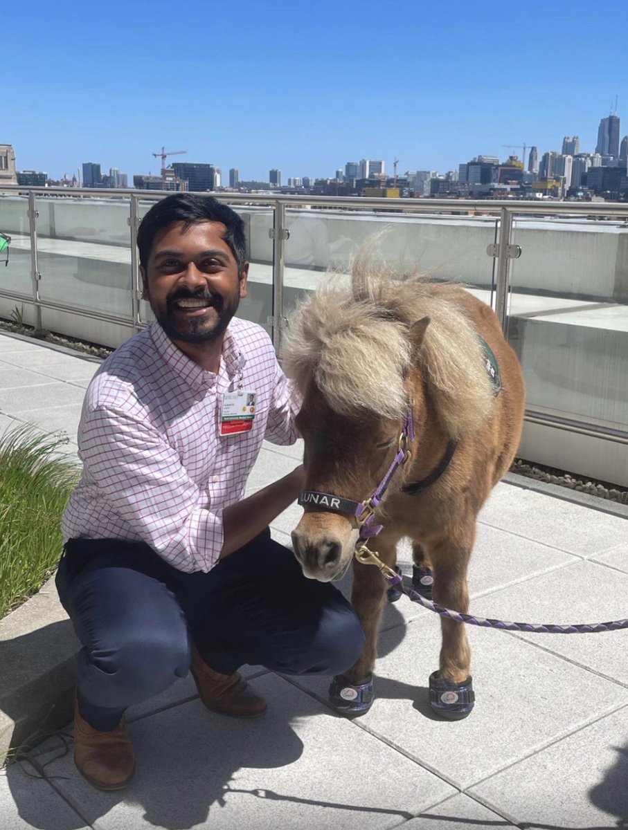RushPalliative (@rushpalliative) on Twitter photo @rushpalliative fellow <a href="/AugustinJJoseph/">Augustin Joseph, MD</a> having a great last weekend on the palliative medicine consult service! Hanging out with miniature therapy horses on the <a href="/RushMedical/">Rush University System for Health</a> balcony.
#goalsofmare #horspice #equineanalgesic
<a href="/RushDOIM/">RUSH Internal Medicine</a> @rushgme @rushpalliative fellow <a href="/AugustinJJoseph/">Augustin Joseph, MD</a> having a great last weekend on the palliative medicine consult service! Hanging out with miniature therapy horses on the <a href="/RushMedical/">Rush University System for Health</a> balcony.
#goalsofmare #horspice #equineanalgesic
<a href="/RushDOIM/">RUSH Internal Medicine</a> @rushgme