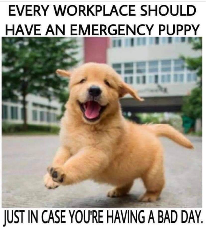 TeacherGoals tweet media