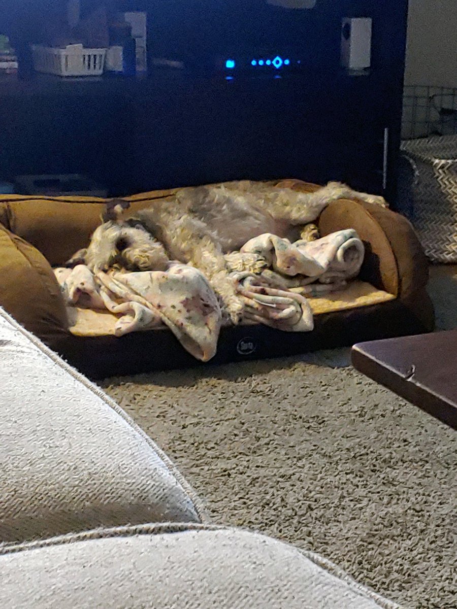 cottoncandyhead's tweet photo. I love the pictures my husband send me while I’m grading. Apparently Sherlock had a long day. https://t.co/lHy5b2Qkgh