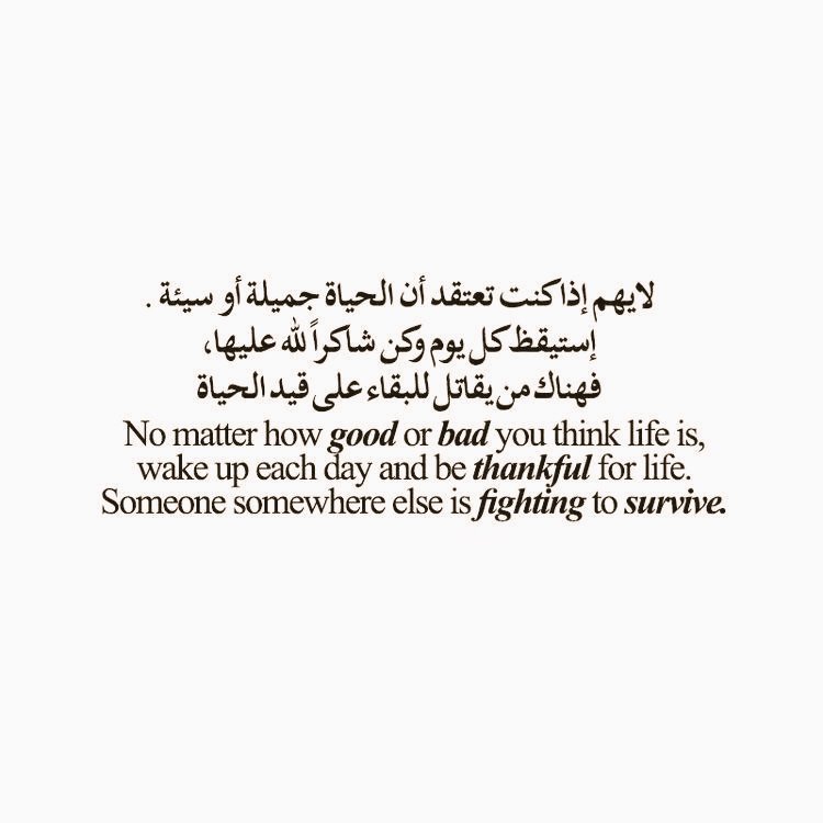 kh89t's tweet photo. _ مهما ڪان هدفك ، يمڪنك الوصول إليه إذا ڪنت على استعداداً للعمل https://t.co/w8n1zv96ld