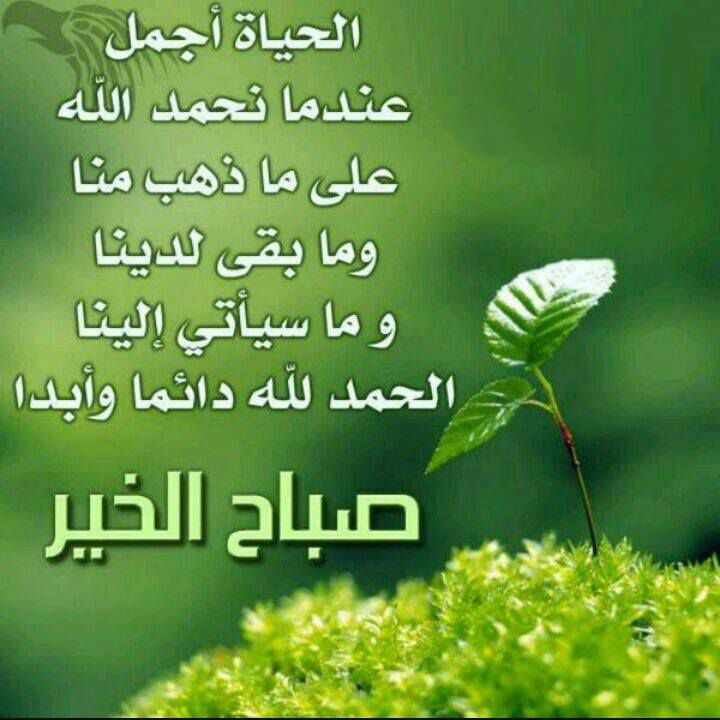 علي الزدجالي (@ali_juma91) on Twitter photo 