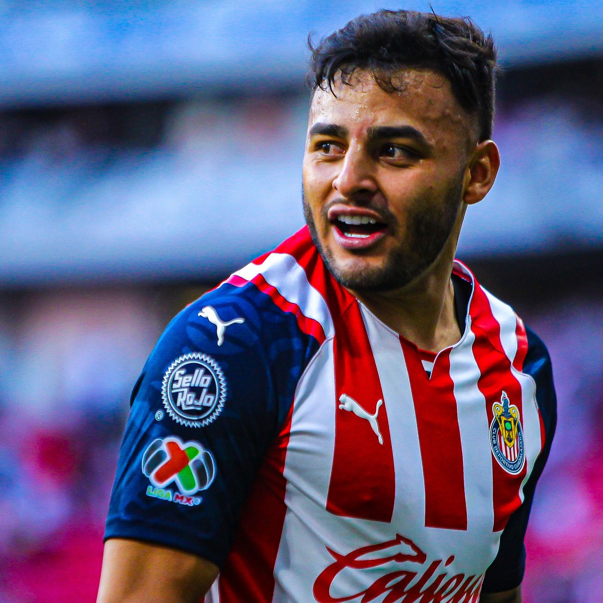 InvictosSomos's tweet photo. ¿Cómo celebró Alexis Vega su renovación con Chivas? Marcando, asistiendo y participando en 3 de los 4 goles del rebaño sagrado contra Pumas UNAM. Jugó desnudo el repechaje. Modo playmaker, modo goleador. EL 10. https://t.co/G3kqVZb1t2