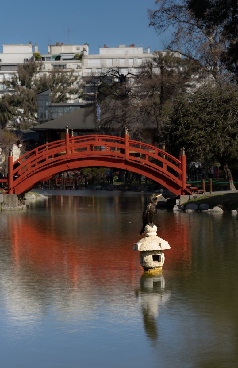 DuhauFoto's tweet photo. Va algo del paseo por el jardin japones... https://t.co/ZXmOBQULNh
