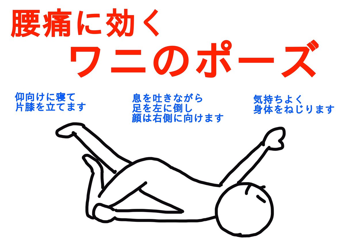 おはようございます😃
朝、満員電車で
ちょっと腰が重だるくなったので
店でストレッチしたら
スッキリ楽になりました

ちょっとした疲れを
ちょっとしたストレッチで
こまめにとってあげると
とても身体が楽ですので
気にいったストレッチを1つでも覚えておくと
便利です

私は2枚目が好きです^_^ 
