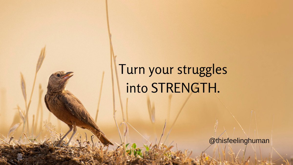 thisfeelinghum1's tweet photo. All our struggles are opportunities for growth.
Visit https://t.co/vdAMDUbTU1
#corestrength #innerstrength #mentalstrength #strengthfeed #rebuildstrength #positivemindset #selfimprovementtips
#GrowthMindset #loveyourself #followyourdreams
#turnup #believeinyourself #motivation https://t.co/ybh60w8c92