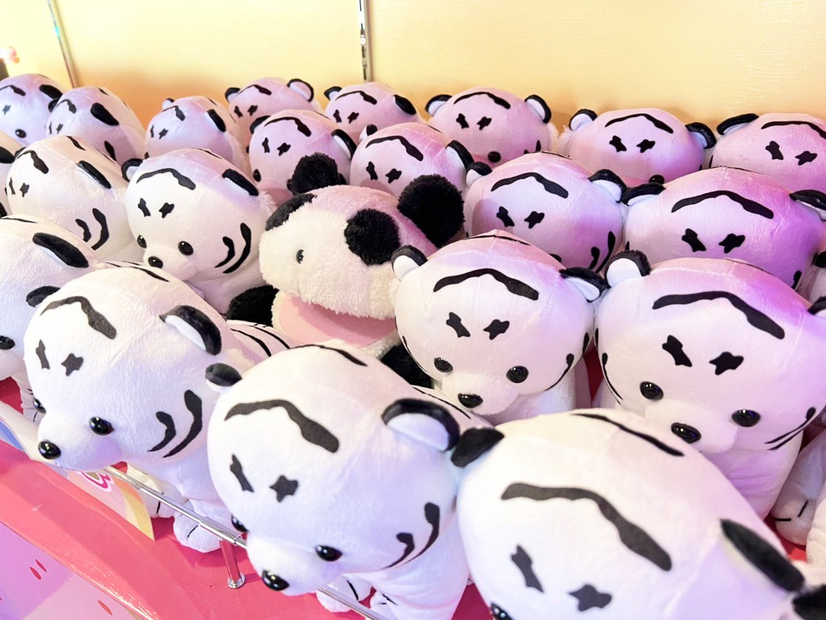 隠れパックン発見🐼✨ 1000円くじコーナーに並んでいましたー🐯 #1000