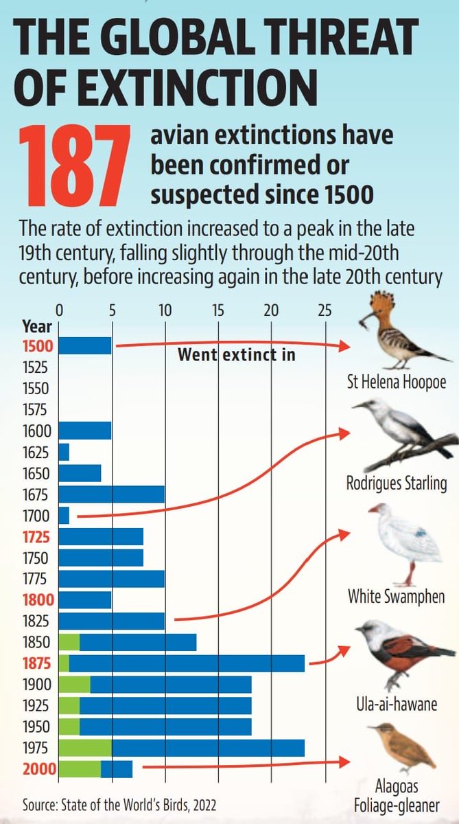 Nearly half of the bird species, across the world, are declining! #SaveBirds #SaveEarth