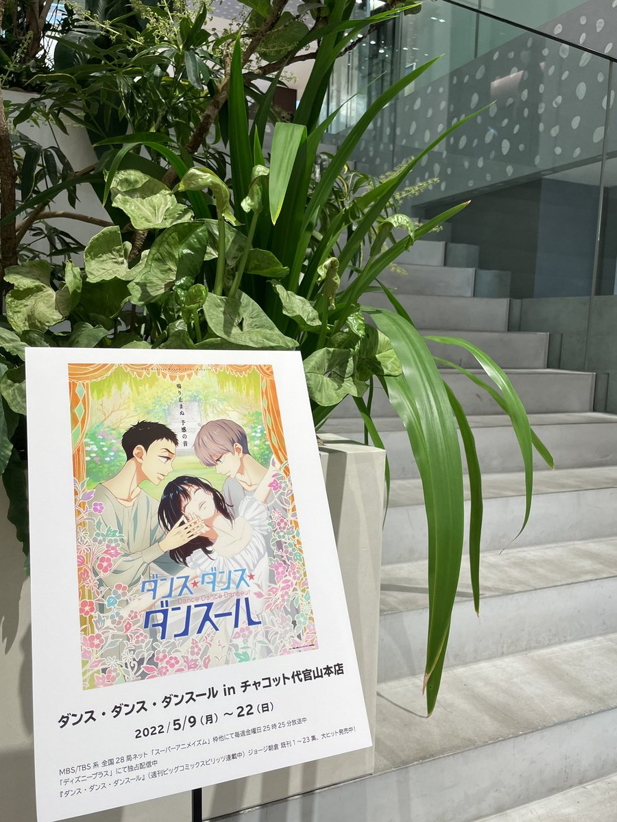 ChacottHonten's tweet photo. みなさま お待たせしました！
本日 ついに！ダンスール展 開催初日です★！

アニメの複製原画や、台本、等身大パネルなどなど...
ぜひ チャコット代官山本店で ダンスールの世界観に浸ってみてください♪

#ダンス・ダンス・ダンスール展
#チャコット代官山本店 https://t.co/m1c0MHFkZf