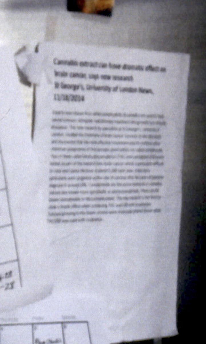 Mommyof2beboys's tweet photo. So not only does the calender clearly say January 2015 but the paper next to it says 12-24-14….Are we supposed to believe this photo was taken December 2015..? #JusticeForJohnnyDepp #AmberHeardlsALiar #DeppVsHeard #AmberHeardIsAPsycopath https://t.co/FnXOCiqjX0