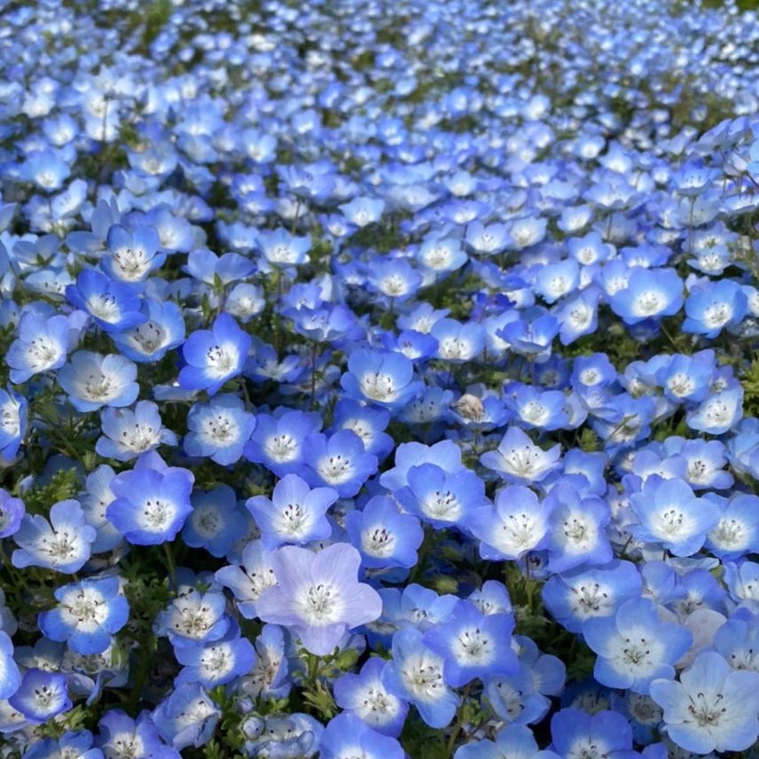 jasmine06251312's tweet photo. 異世界幸空間💭 https://t.co/Qpyx9OxsY4