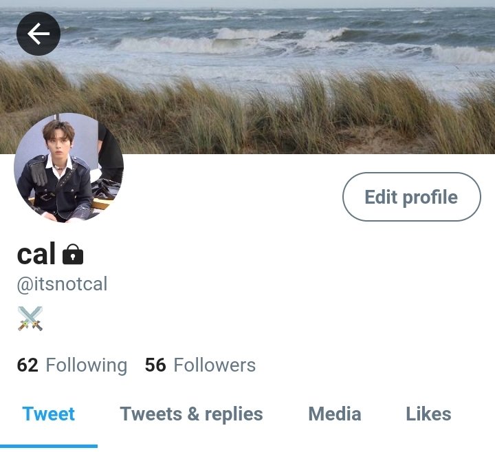 zych1ves's tweet photo. Caleil Raze “Cal” Vestaña

— 1/3 Kei's circle
— prince and is in line for his own throne (2)
— fencing and martial arts champion
— cold https://t.co/T604OsVkwJ