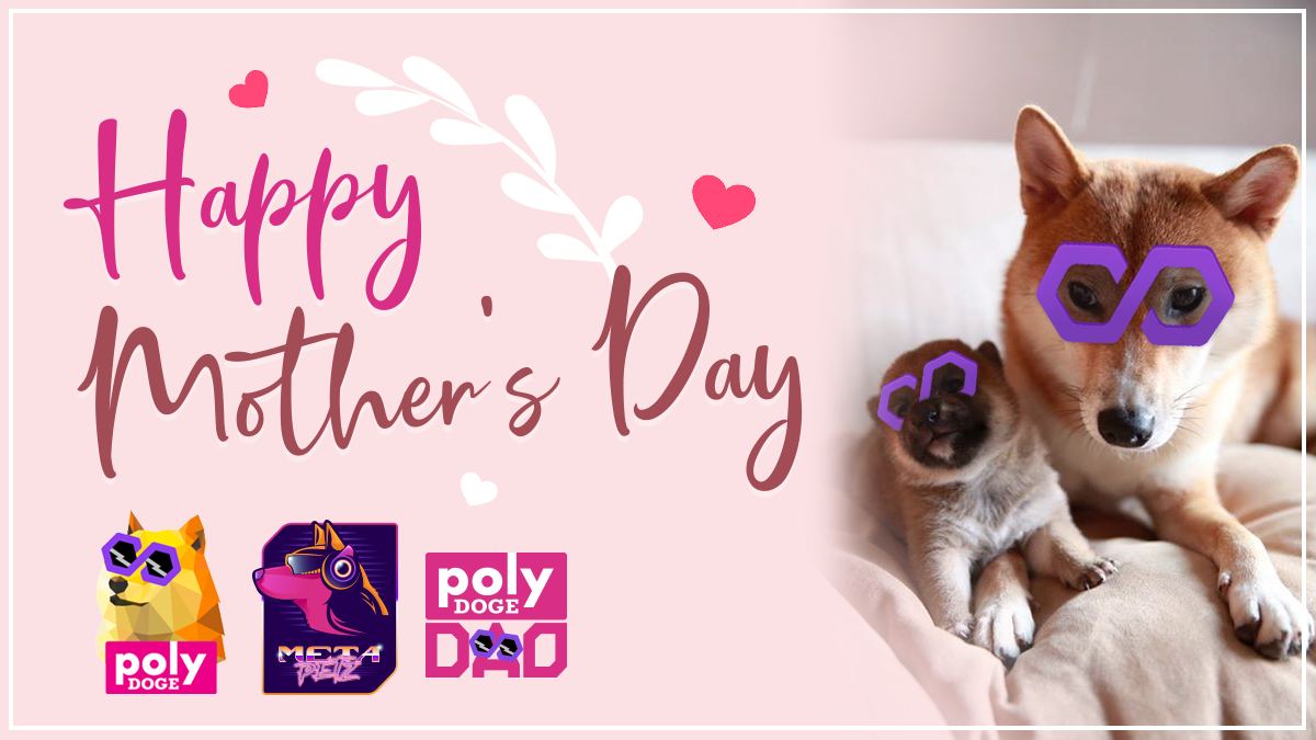 PolyDoge 🐶🚀 tweet media