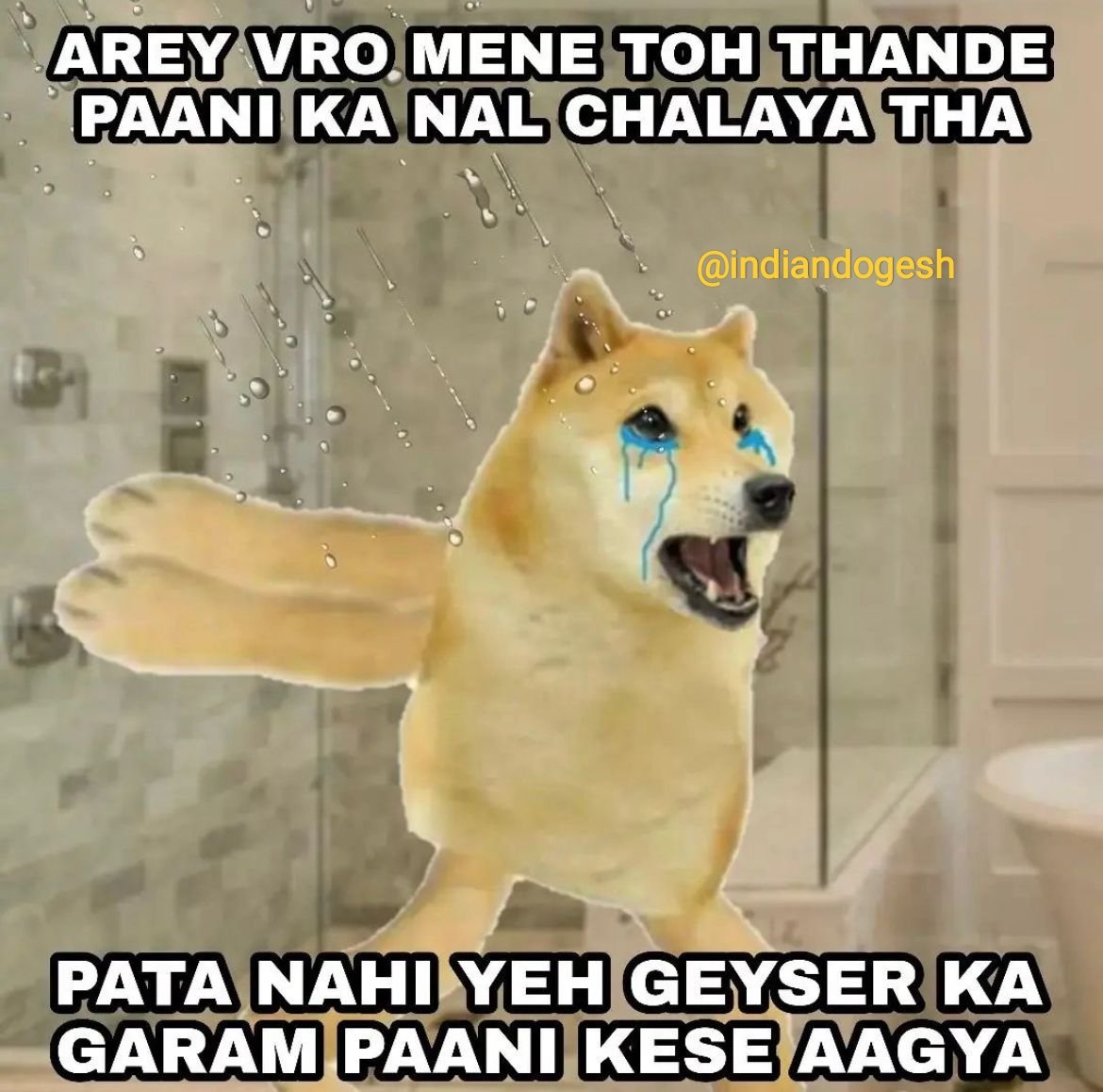 indiandogesh's tweet photo. Chumtiya Dogesh 😂 @indiandogesh https://t.co/iw3oKXhNIQ