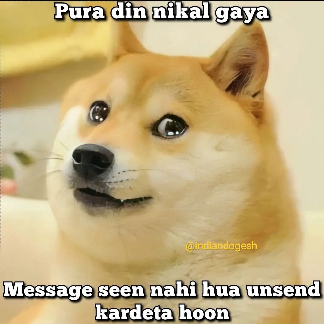 indiandogesh's tweet photo. Damrd OP @indiandogesh https://t.co/Y6M8Ttbhgj