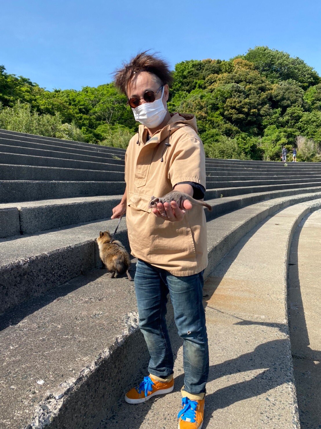 ホンドダヌキ Twitter Search Twitter
